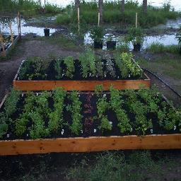Jessy's Garden is a Not-For-Profit Community Garden
