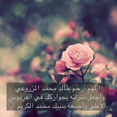 هذا الحساب صدقه جاريه لخالد محمد المزروعي ولجميع موتى المسلمين اسأل الله ان يرحمهم ويغفرلهم رتويت من فضلك ♡