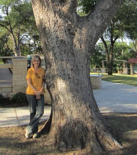 Author, Artist, Arborist