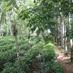 The agroforestry (@theagroforestry) Twitter profile photo The agroforestry (@theagroforestry) Twitter profile photo