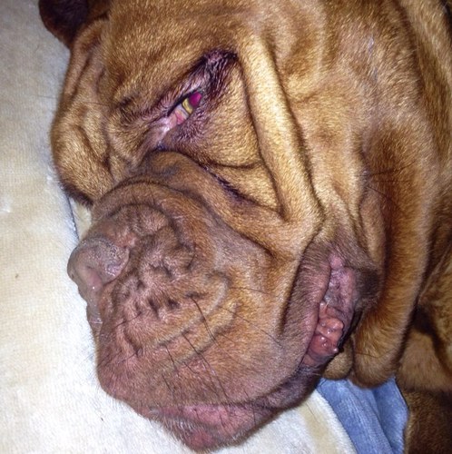 jacas82's profile picture. Soy humano, lo juro. Bueno, casi.