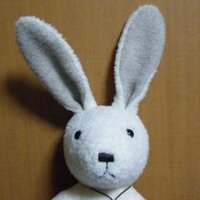 よっこ (@yossy_sj) 's Twitter Profile Photo
