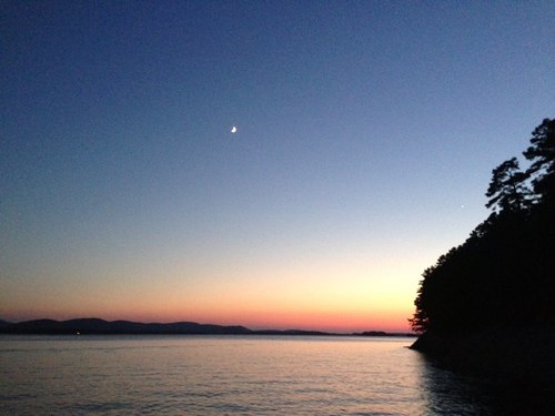 montytripreport's profile picture. 