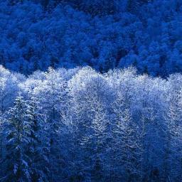 lhbib21_21yajor's profile picture. 