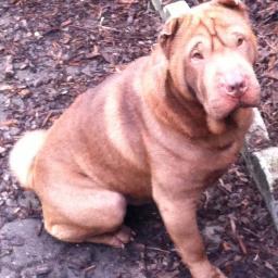 10dollarservice's profile picture. love u all