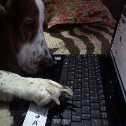 Javierca's profile picture. 