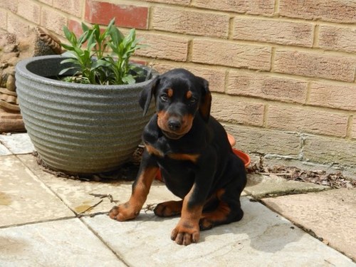 AClarke62's profile picture. 