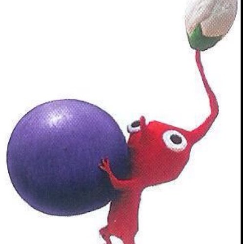 Pikmin! Im Red, the firey one! Yes, I am a girl! #SSBRP #Multiverse
