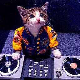 That person at that party that's petting the cat.