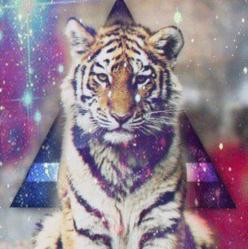 Destrozando corazones desde 1995▲
Sígueme & te sigo ▲
