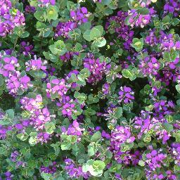 porunbesotuyo's profile picture. A darle duro y con ganas!! 🤩🤣💄👠👜