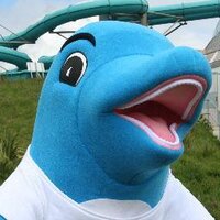 Bluelagoonwales (@bluelagoonwales) Twitter profile photo
