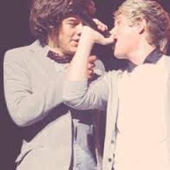 Yeah I'm a guy and Yeah I ship Narry.