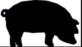 Artist, Nerd, Cook, Epicurian, and so much more. Watch out for random post of #dailybacon to random foodies