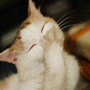 Barbara Shaffer - @BarbaraShaffe15 - Twitter