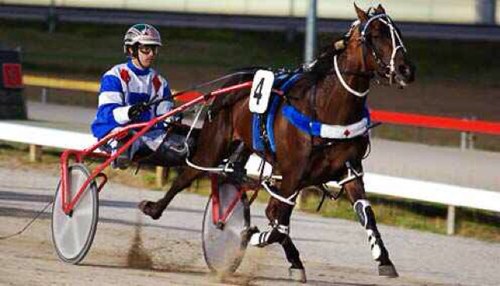 Sprint lane. A registered company with a passion for harness racing that aims to get people involved in a fair, respectful manner. We have a history of winners