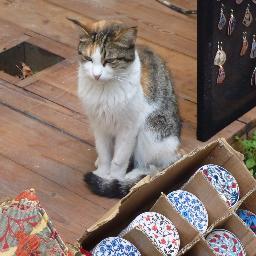 趣味の芝居と映画通いに時間を割くため、ぎゅぎゅっと仕事の時間を圧縮する日々です(たまに圧縮しきれず残業)。基本は芝居と映画の長い感想ですが、ふわふわかわいいもの、グルメ日記も、その他すべてぶちこんでます。作れないけどハンドメイド作品大好き。人間ドックで指示されたので、しぶしぶ減酒中(当社比)。……が、進まない休肝日。