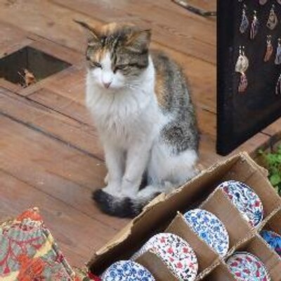 Hahakigi / はるかのプロフィール写真