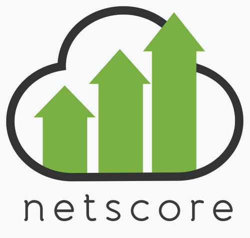 netscoreINC's profile picture. Netscore is an International Search Engine Optimization and Web Marketing Technology Provider.