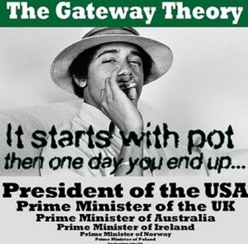 Weedfacts42 is here to bring all the true things about marijuana Its 2013 i think its time to legalize it. After all its just a seed that we plant in gods earth