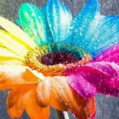 MinaOwens13's profile picture. A Flower Child