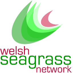 @ProjectSeagrass Volunteers in Wales: Advancing the conservation of #seagrass through education, influence, research and action. 

Gwair y môr Cymraeg.