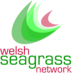 Welsh Seagrass (@WelshSeagrass) Twitter profile photo