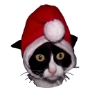 I'm Nooey the Christmas Cat. I find and share bargains, craft ideas and more to help you Keep Christmas Cheap. I speak Cat, English and Cymraeg. Ho ho ho!