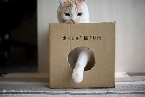 悪夢見がち