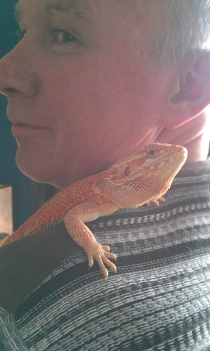 oparien56's profile picture. 