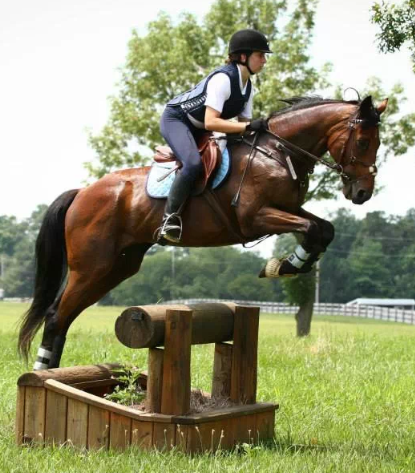 It is a part of you. Something that you must be born with. It's a phase that cannot be outgrown. We are in it for life. #Equestrian