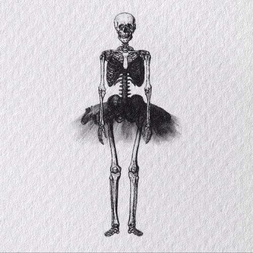 anaseekinghappy's profile picture. 