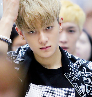 romantic kungfu panda ; edison huang ; @candorerp