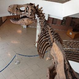 Dino Scientist jk