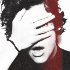 ''zerrie shipper'' never in your wildest dreams