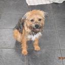 Steve Avery - @steve1_avery - Twitter