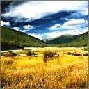 Tara Gore - @TaraGore1 - Twitter