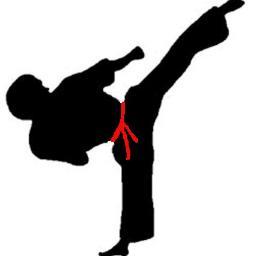 Restayvien's profile picture. Taekwondo Red Belt - love martial arts, self-defense, health and fitness, nutrition, training, Korean language, Japanese language