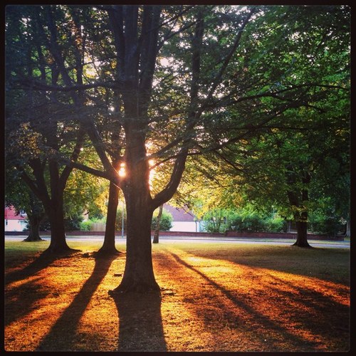 PhArtHaus's profile picture. What is PhArt?
 A series of simple, high quality images taken by a photographer with a passion for the world that we often ignore as it passes us by.