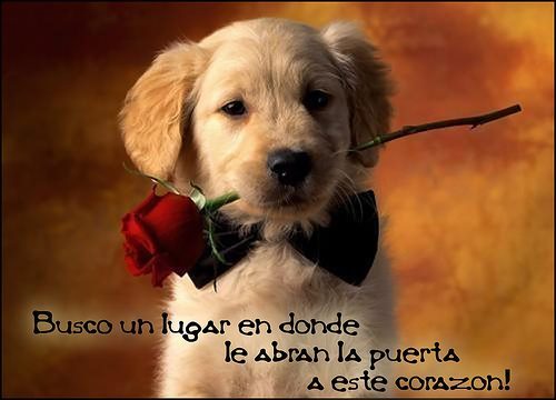 .Yo siempre busco la manera de volar, yo siempre sueño con la idea de escapar ♥♥♥!!!