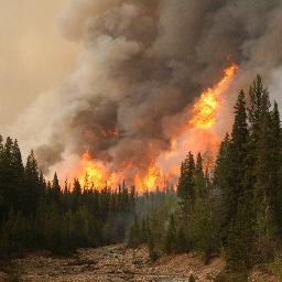 Partnership between University of Alberta, Alberta Agriculture and Forestry and Natural Resources Canada to study wildland fire science