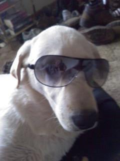 Corky_777's profile picture. 