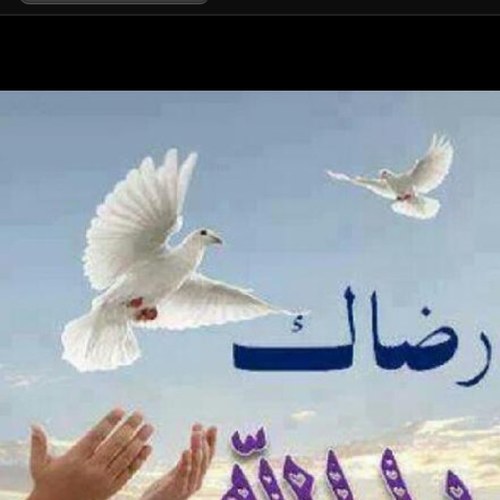 236Modmodmod's profile picture. سبحان الله عدد ماكان وعدد مايكون وعدد الحركات والسكون &