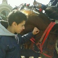 Tomi (@tomilacasa14) 's Twitter Profile