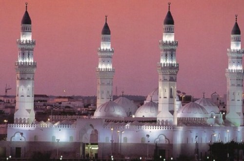 ناشط زراعي