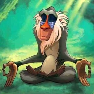 Hakuna Matata!!! https://t.co/yHvlr1BrRN