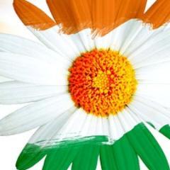 LoveWorldFilms's profile picture. 