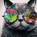 Pessimistic Hippie - @xBobbieDillonXx - Twitter