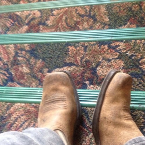 josephbutts2313's profile picture. Im awesome, are you?