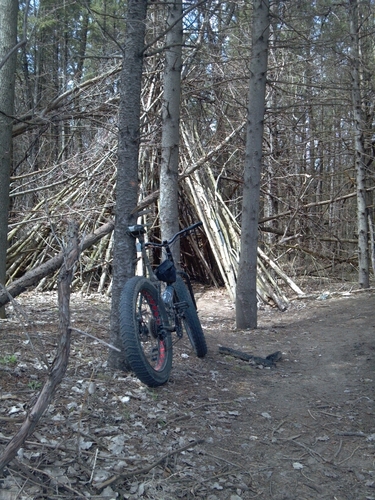 rollingAustin's profile picture. 